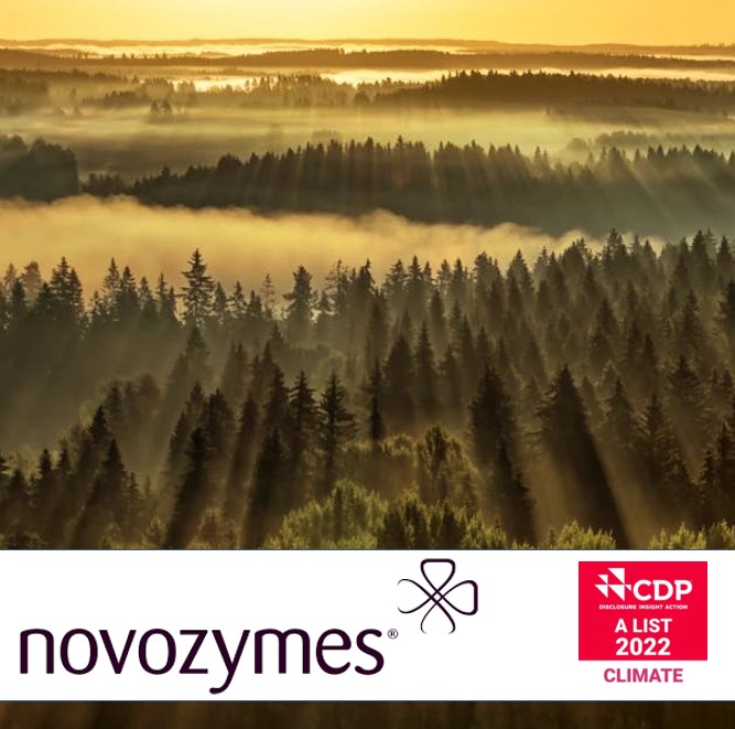 Novozymes awarded accolade for leadership in corporate transparency and performance on climate change