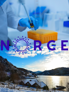 NORCE Research Opportunities – Don’t Miss Out!